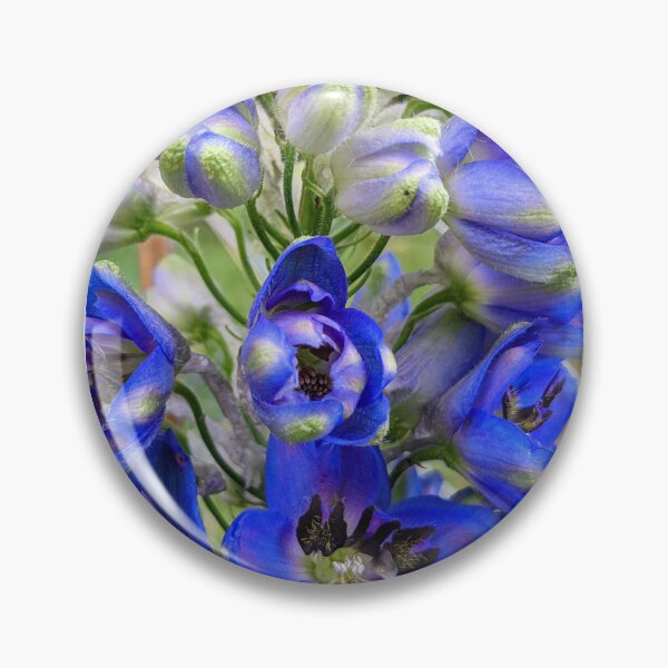 Item preview, Pacific Giant Delphinium Stages of Growth designed and sold by arfff.