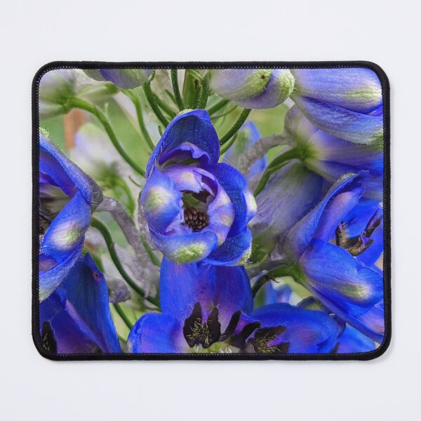 Item preview, Pacific Giant Delphinium Stages of Growth designed and sold by arfff.