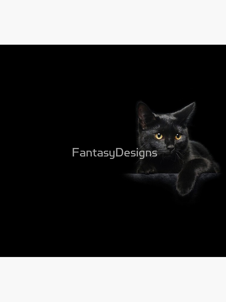 Black Cat by FantasyDesigns
