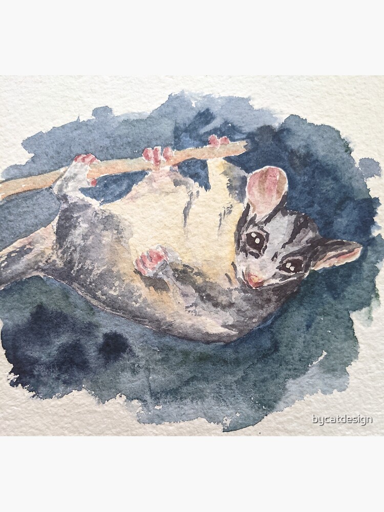 "Leadbeater's Possum" Sticker for Sale by bycatdesign Redbubble