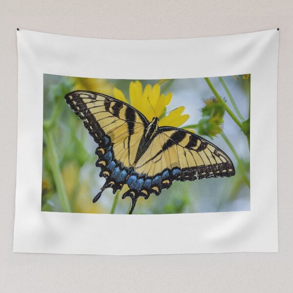 Item preview, Tiger swallowtail Butterfly designed and sold by JenCargilePhoto.