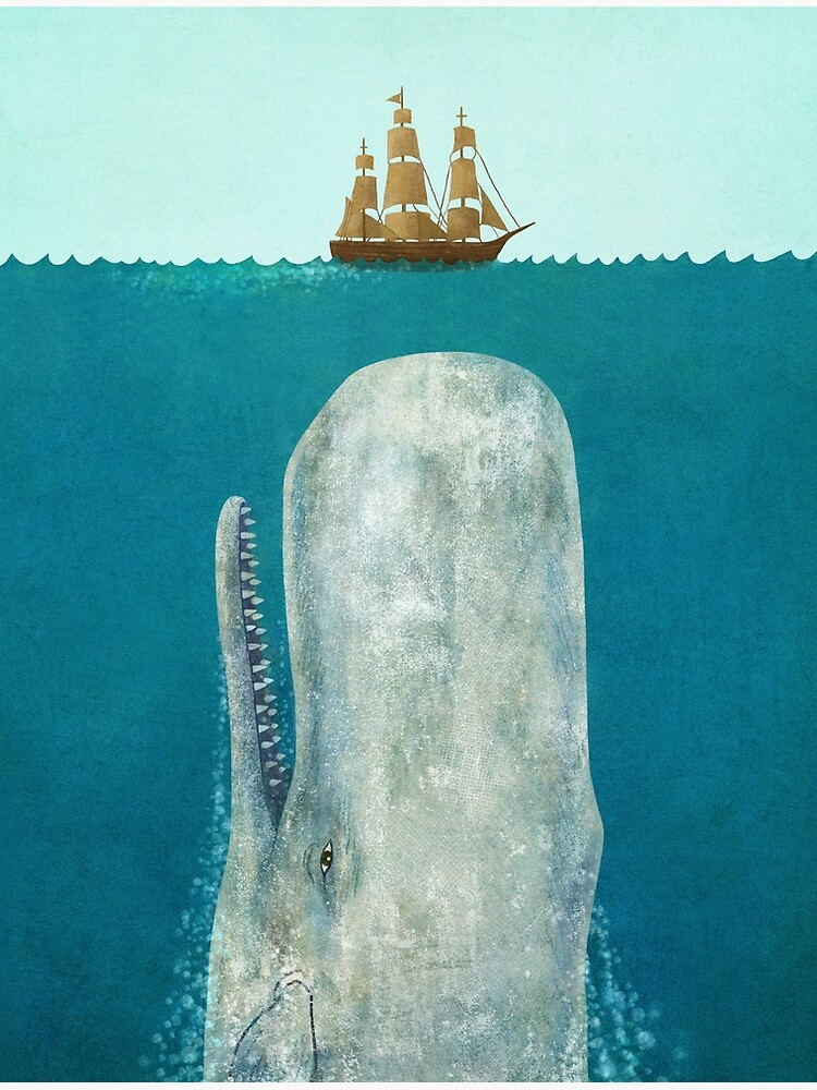 The Whale by TerryFan