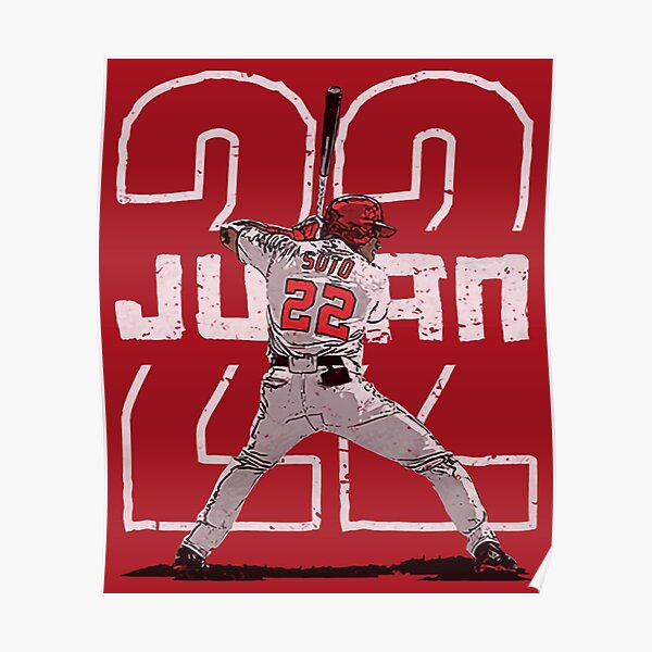  Juan Soto Washington Nationals Poster Print, Baseball Player,  Real Player, Juan Soto Decor, ArtWork, Canvas Art, Posters for Wall SIZE  24''x32'' (61x81 cm): Posters & Prints