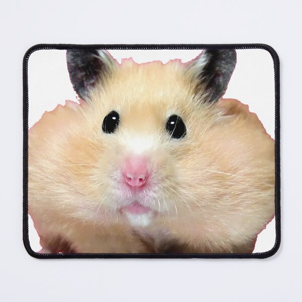 Item preview, Hamster designed and sold by DigiArtyst.