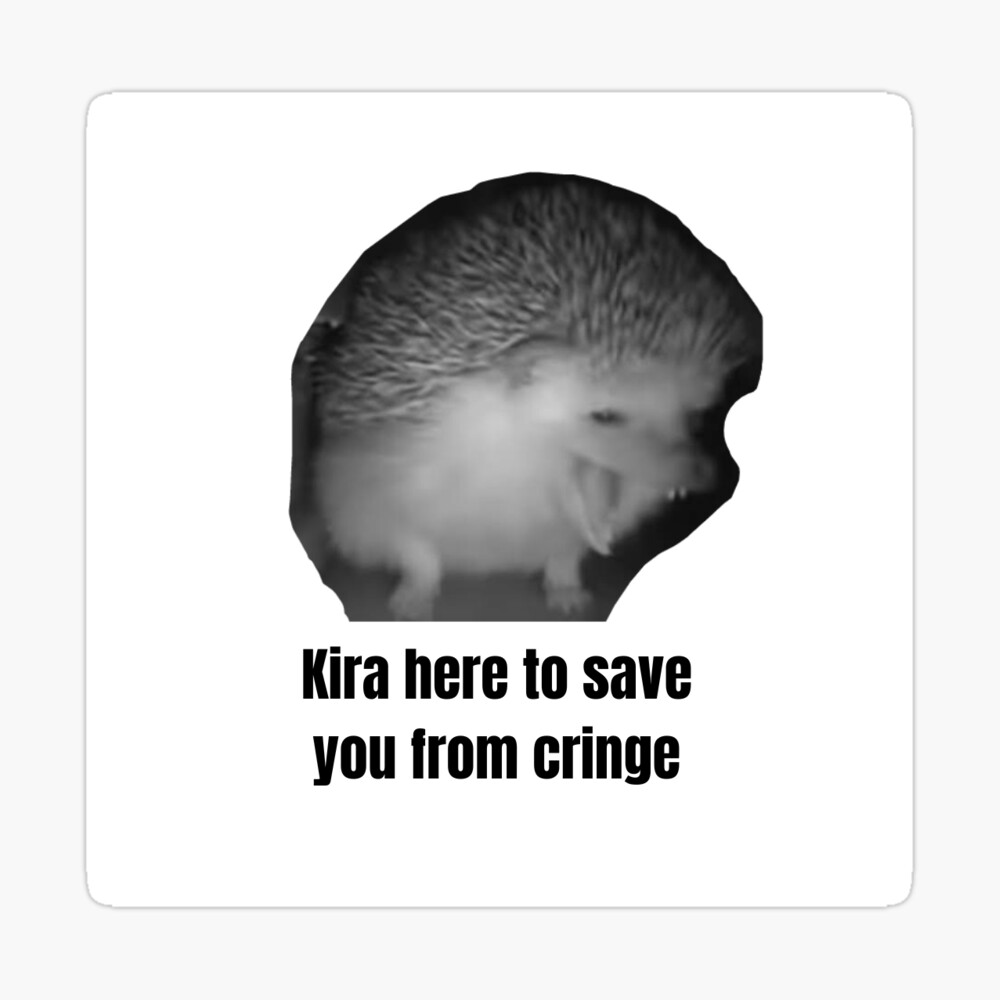 Kira yoshikage hedgehog