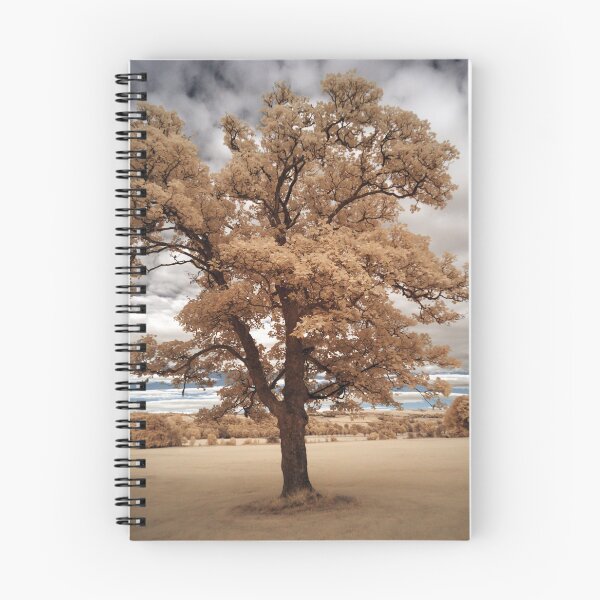Item preview, Lone Tree designed and sold by Jay Payne.