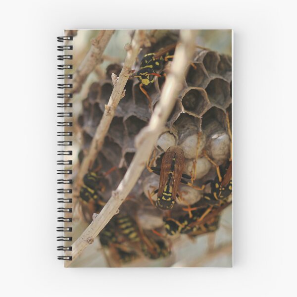 Item preview, Wasp Nest designed and sold by ADM  Photography.