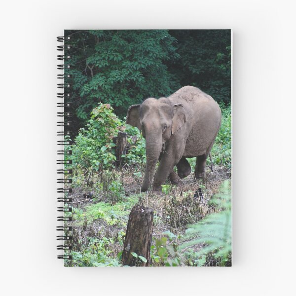 Item preview, Elephant in corn fields  designed and sold by You Can Evan.