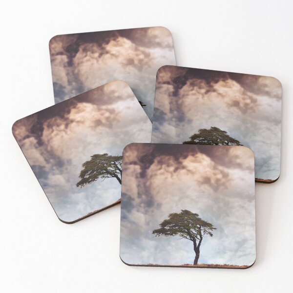 Item preview, Lonely tree designed and sold by Victoria Ashman.