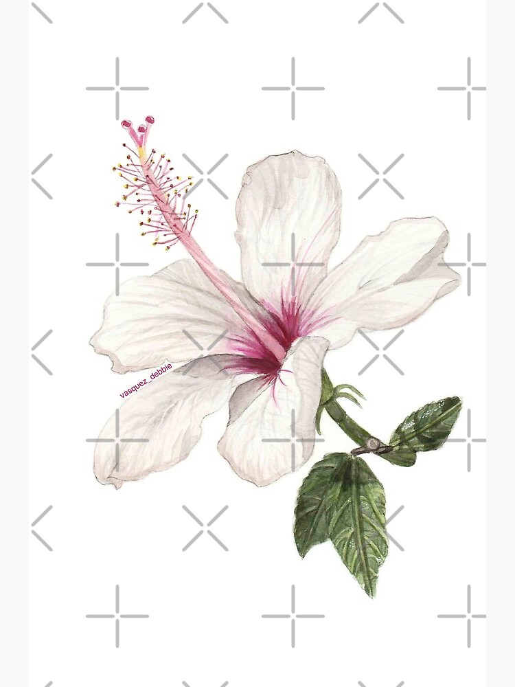 Thumbnail 3 of 3, Art Print, Hibiscus Flower designed and sold by vasquezdebbie.
