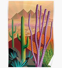 Tucson Poster