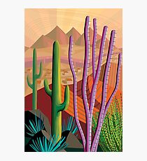 Tucson Photographic Print