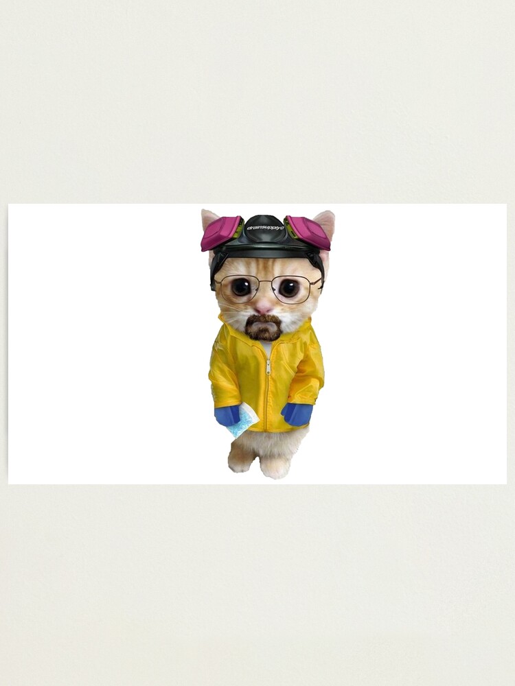 Breaking Bad Heisenberg Cat Meme Photographic Print For Sale By breaking-bad-heisenberg-cat-meme-photographic-print-for-sale-by