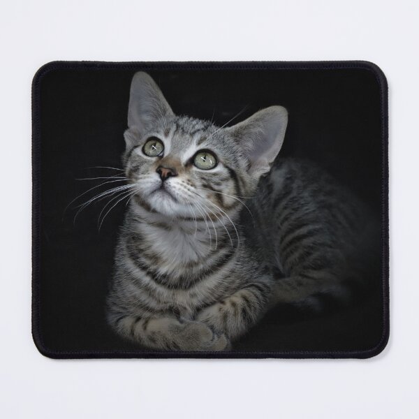 Item preview, Tiny Tabby Thoughts designed and sold by Ladymoose.