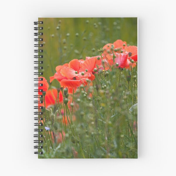 Item preview, Poppies and flaxseed designed and sold by Leighton Collins.