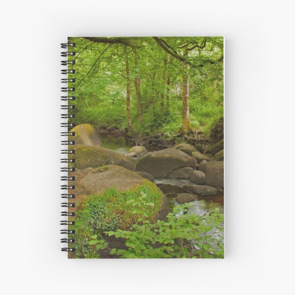 Aperçu de l'œuvre Rivière et Forêt d'Huelgoat Bretagne France créée et vendue par Buckwhite.