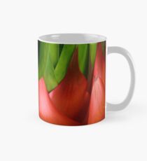 red & green Mug