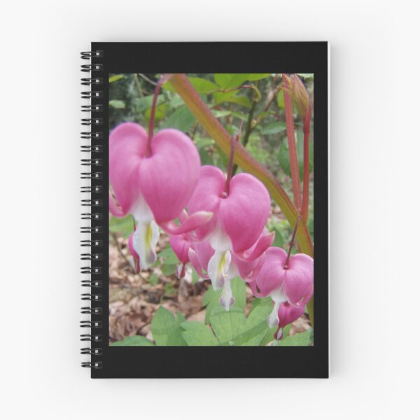 Item preview, three red bleeding hearts macro designed and sold by Dawna Morton.