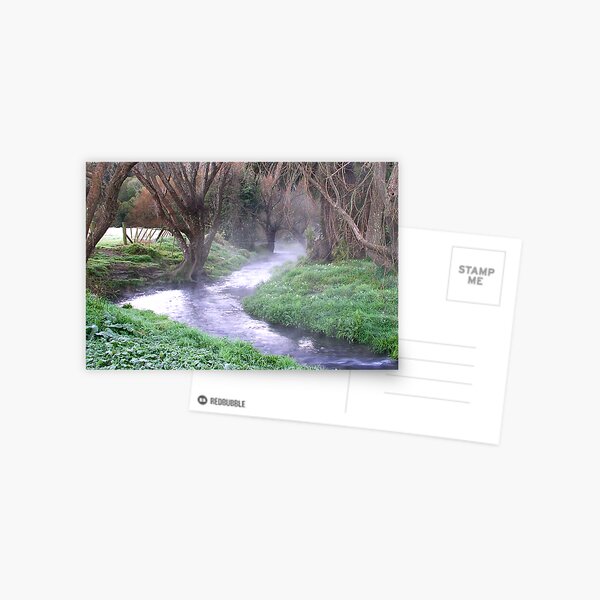 Frosty Morning Postcard