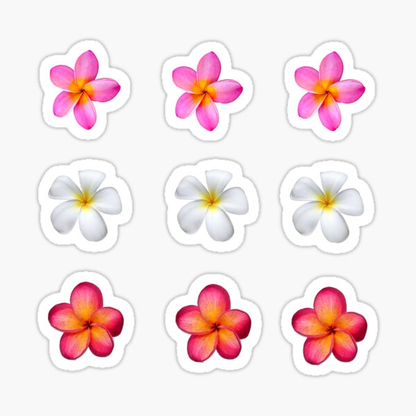 Item preview, Frangipani tropical pink and white summer flowers designed and sold by Lindsay Marie Patterns.