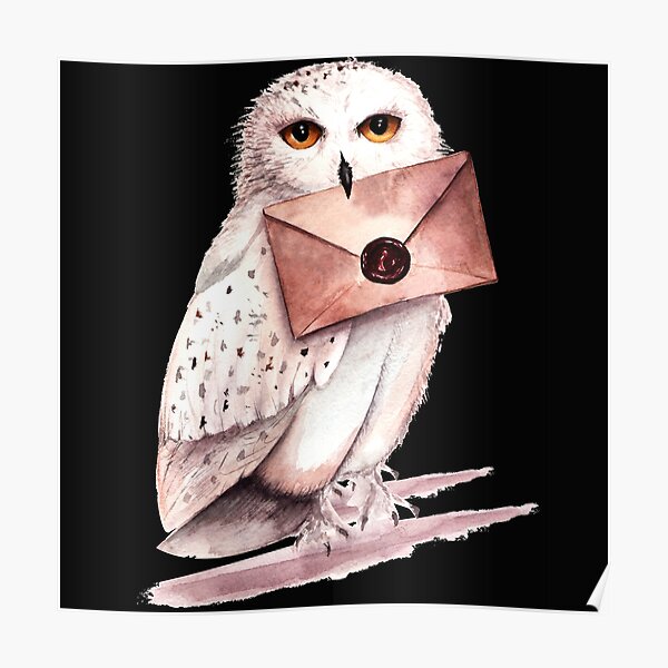 HARRY POTTER Hedwig OWL pencil case cosmetics bag wizarding world Gift |  eBay