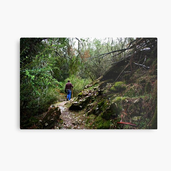 Item preview, Bushwalk designed and sold by Evita.