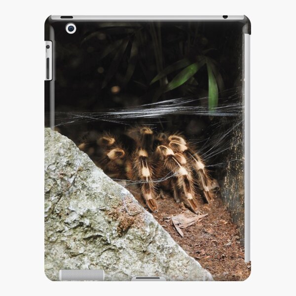 Acanthoscurria geniculata iPad Snap Case