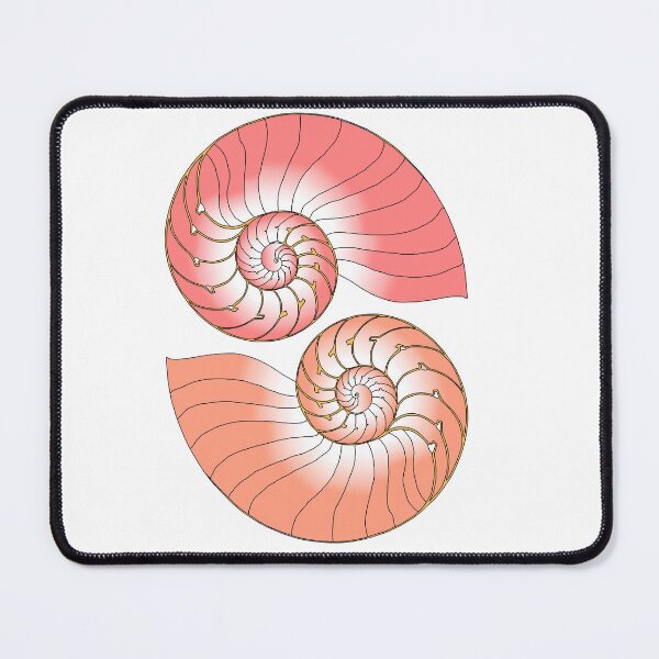 Item preview, Nautilus designed and sold by Colin Bentham.