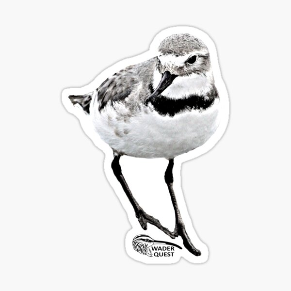 Wrybill Sticker