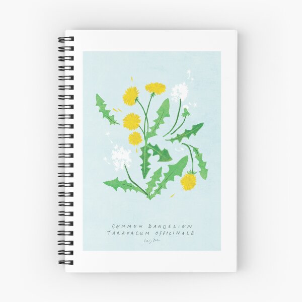 Item preview, dandelion botanical print - summer flowers collection designed and sold by Lizzy Doe.