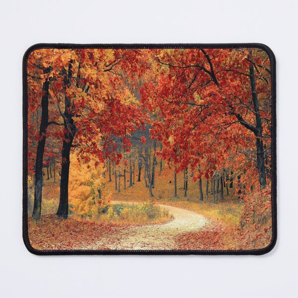 Item preview, Forest Trail in the Fall Landscape designed and sold by EcoArtLab.