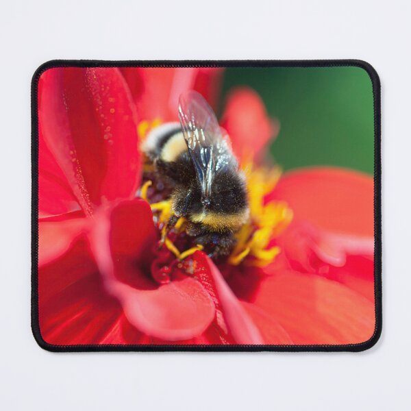 Item preview, Gorgeous Fluffy Bee on Red Flower designed and sold by CyaniRose.