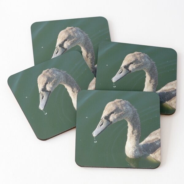 Item preview, Cygnet (Baby Swan) designed and sold by Nicole Gath.