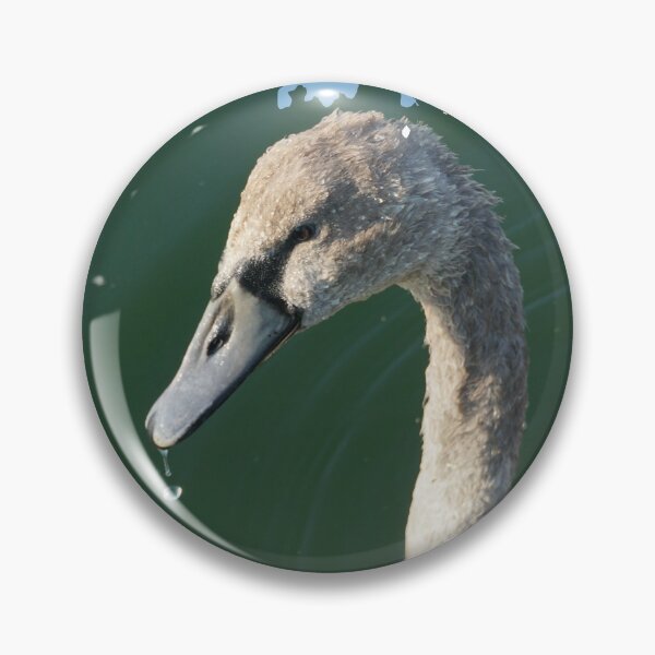 Item preview, Cygnet (Baby Swan) designed and sold by Nicole Gath.