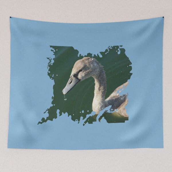 Item preview, Cygnet (Baby Swan) designed and sold by Nicole Gath.