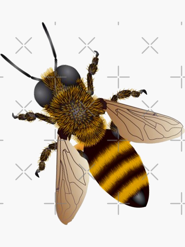 “Natures Buzz” Sticker for Sale by NINUNO | Redbubble