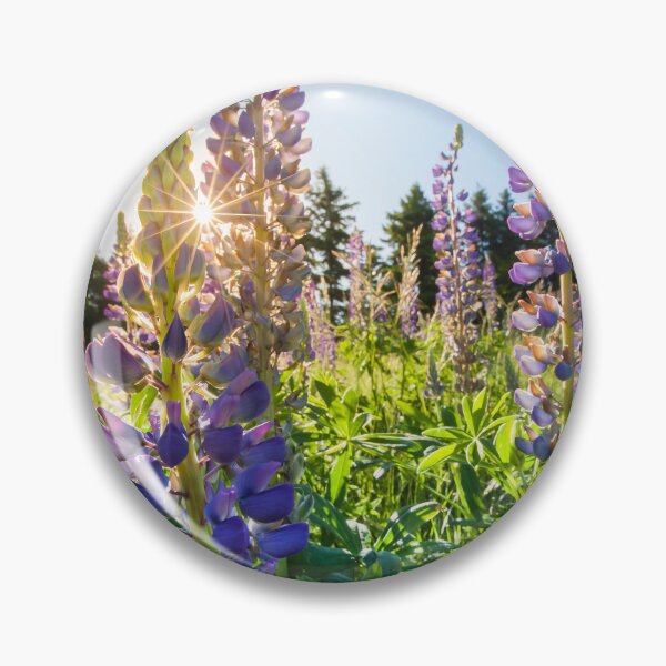 Item preview, Sunset through Purple Lupins designed and sold by CyaniRose.