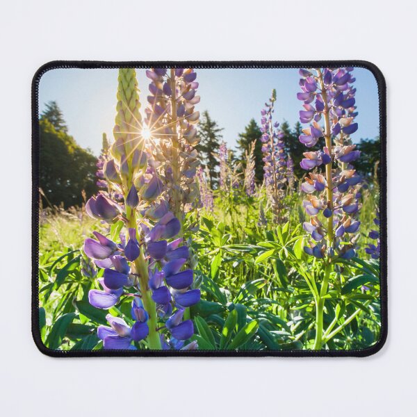 Item preview, Sunset through Purple Lupins designed and sold by CyaniRose.