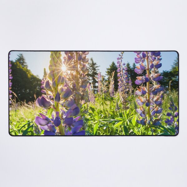 Item preview, Sunset through Purple Lupins designed and sold by CyaniRose.