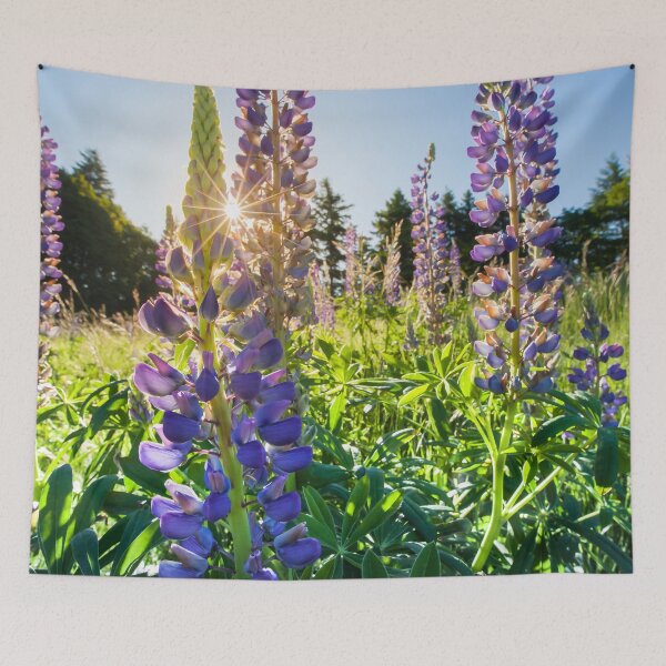Item preview, Sunset through Purple Lupins designed and sold by CyaniRose.