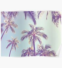 Palm Poster