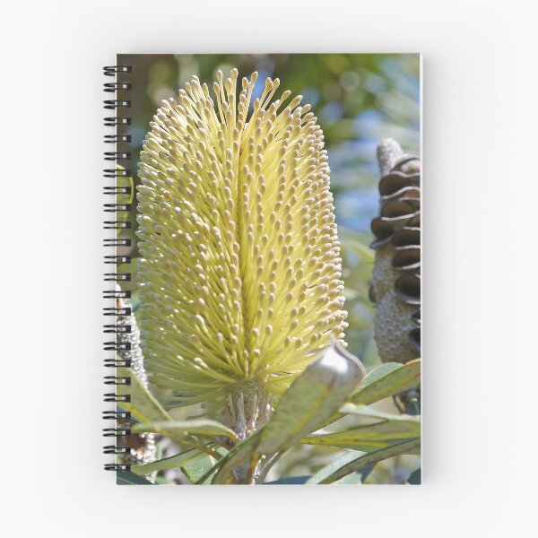 Item preview, Stradbroke Island Banksia designed and sold by Graeme  Hyde.