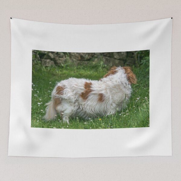 Item preview, Cavalier King Charles Spaniel Dog designed and sold by JJVXPHOTOGRAPHY.