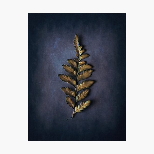 Gold Fern leaf - Vintage Leaves Photographic Print