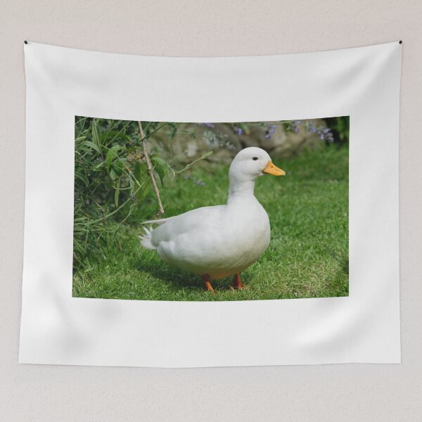 Item preview, White Callduck / Call Duck designed and sold by JJVXPHOTOGRAPHY.