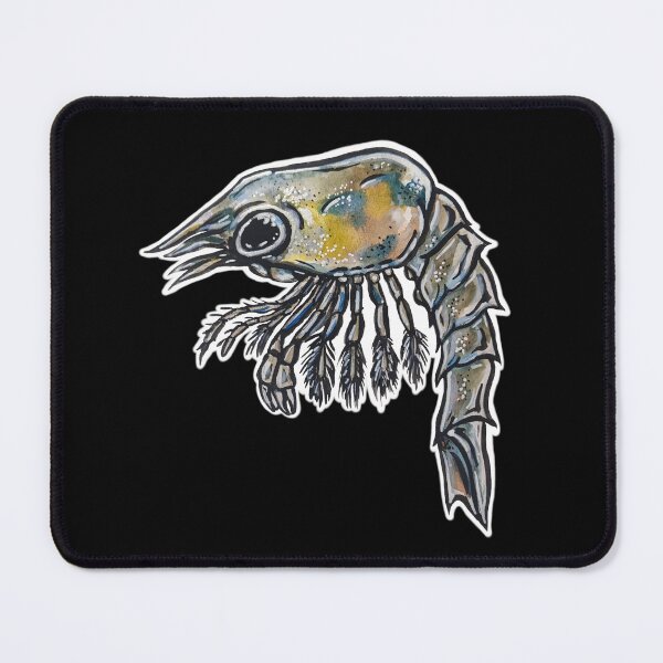 Item preview, Stage 1 Larval Lobster designed and sold by chloepenguin.