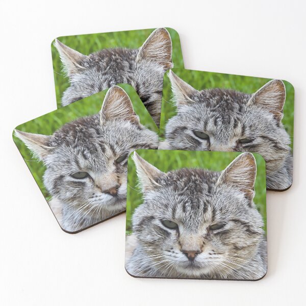 Item preview, Close-up of a cat's muzzle designed and sold by EvgeniiV.