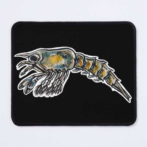 Item preview, Stage 2 Larval Lobster designed and sold by chloepenguin.