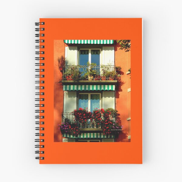 Item preview, Pretty Swiss Window Box designed and sold by Charmiene Maxwell-Batten.