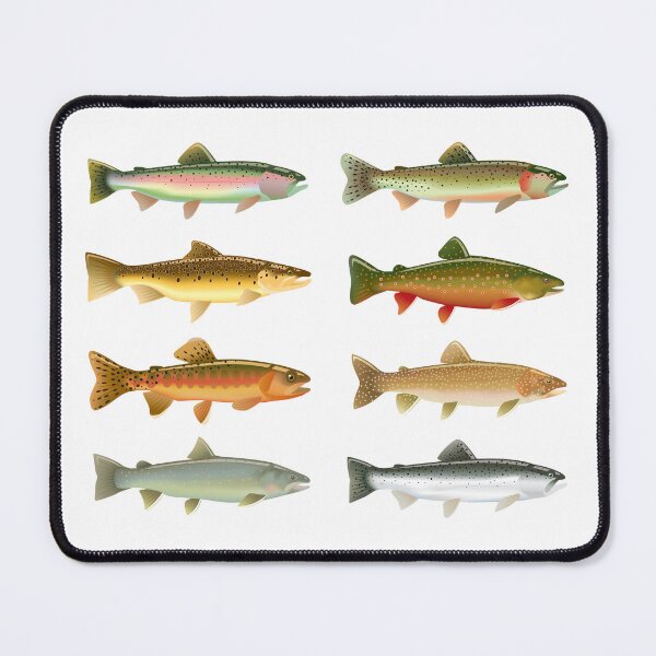 Item preview, Trout Species designed and sold by Sabin Artworks.